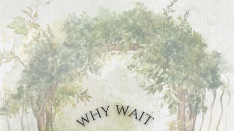 Why Wait Image