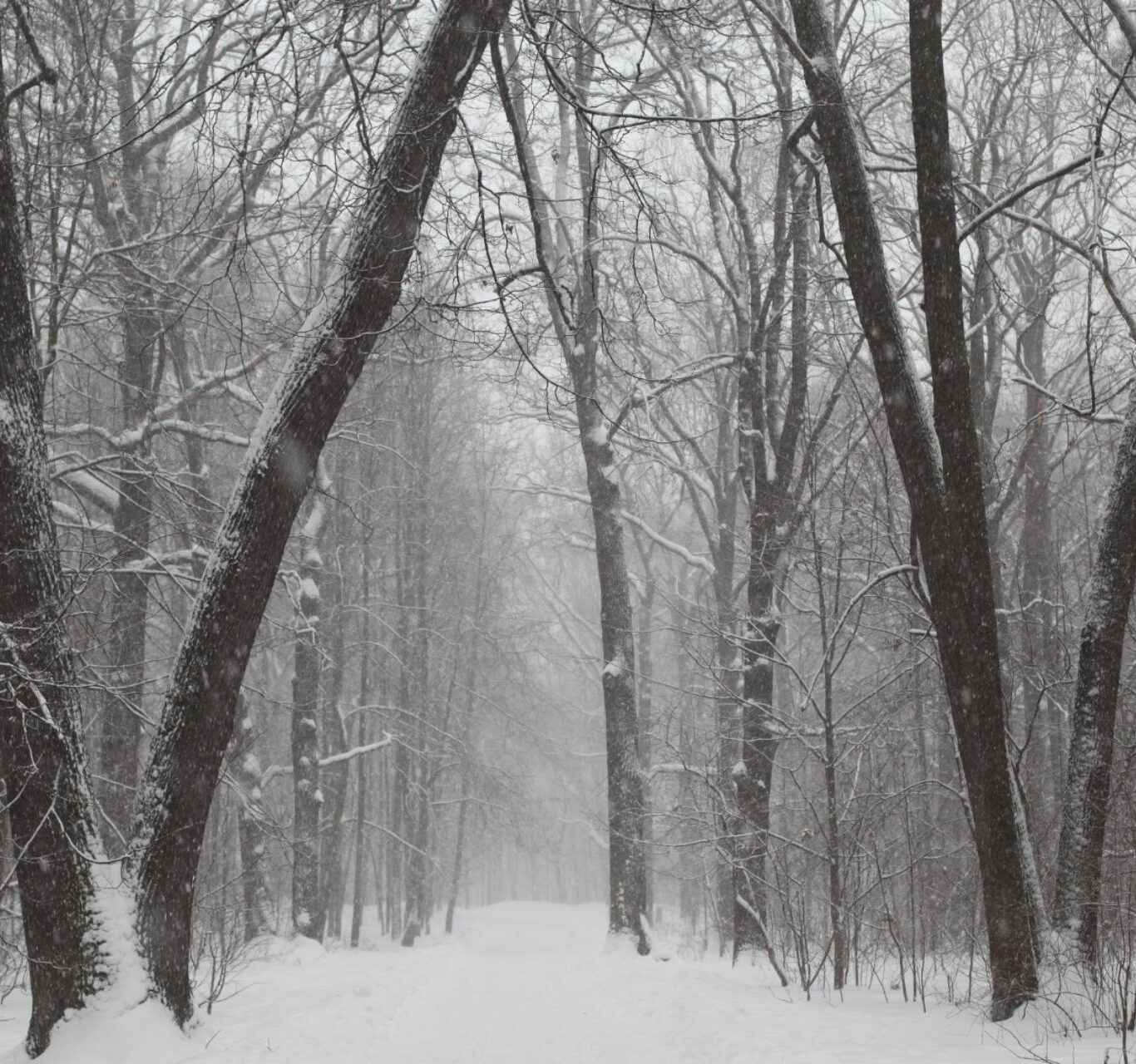 Christmas Breaks (1920&times;1280)