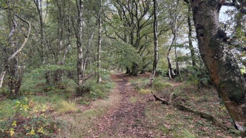 Untitled design &ndash; 1