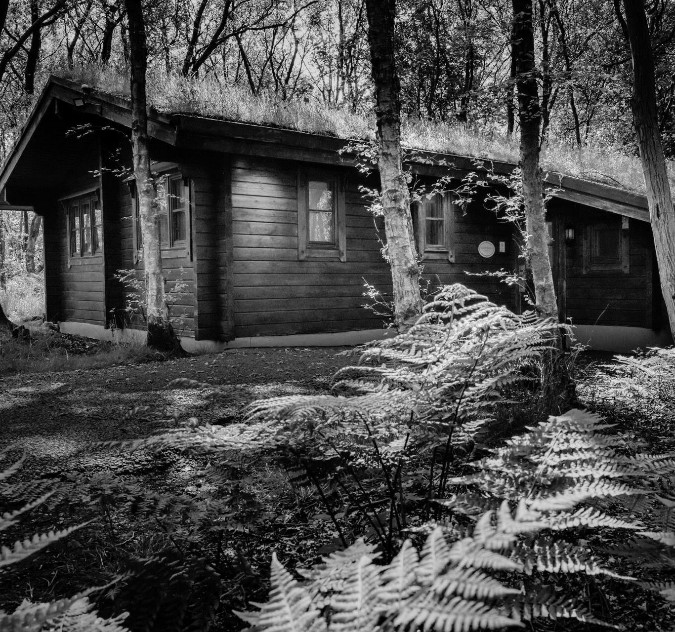 Untitled design &ndash; 1