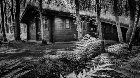 Untitled design – 1