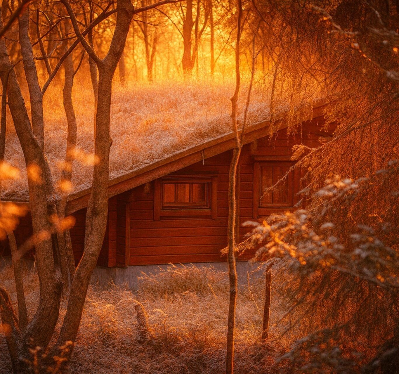 Untitled design &ndash; 1