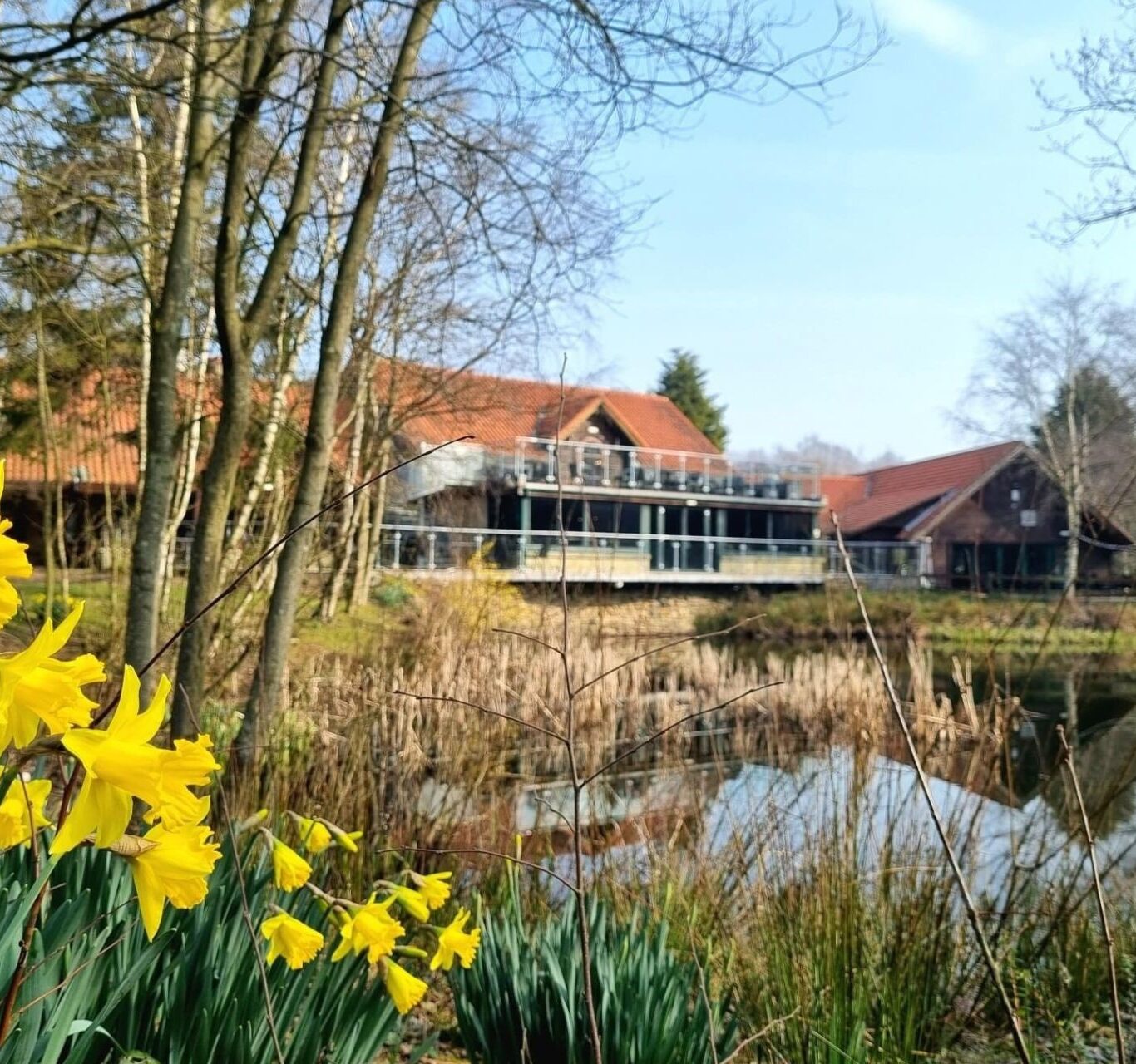 Untitled design – 1