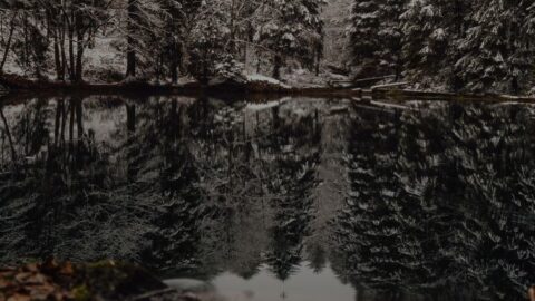 Copy of Winter Wedding Package 2025-2026.pdf &ndash; 1