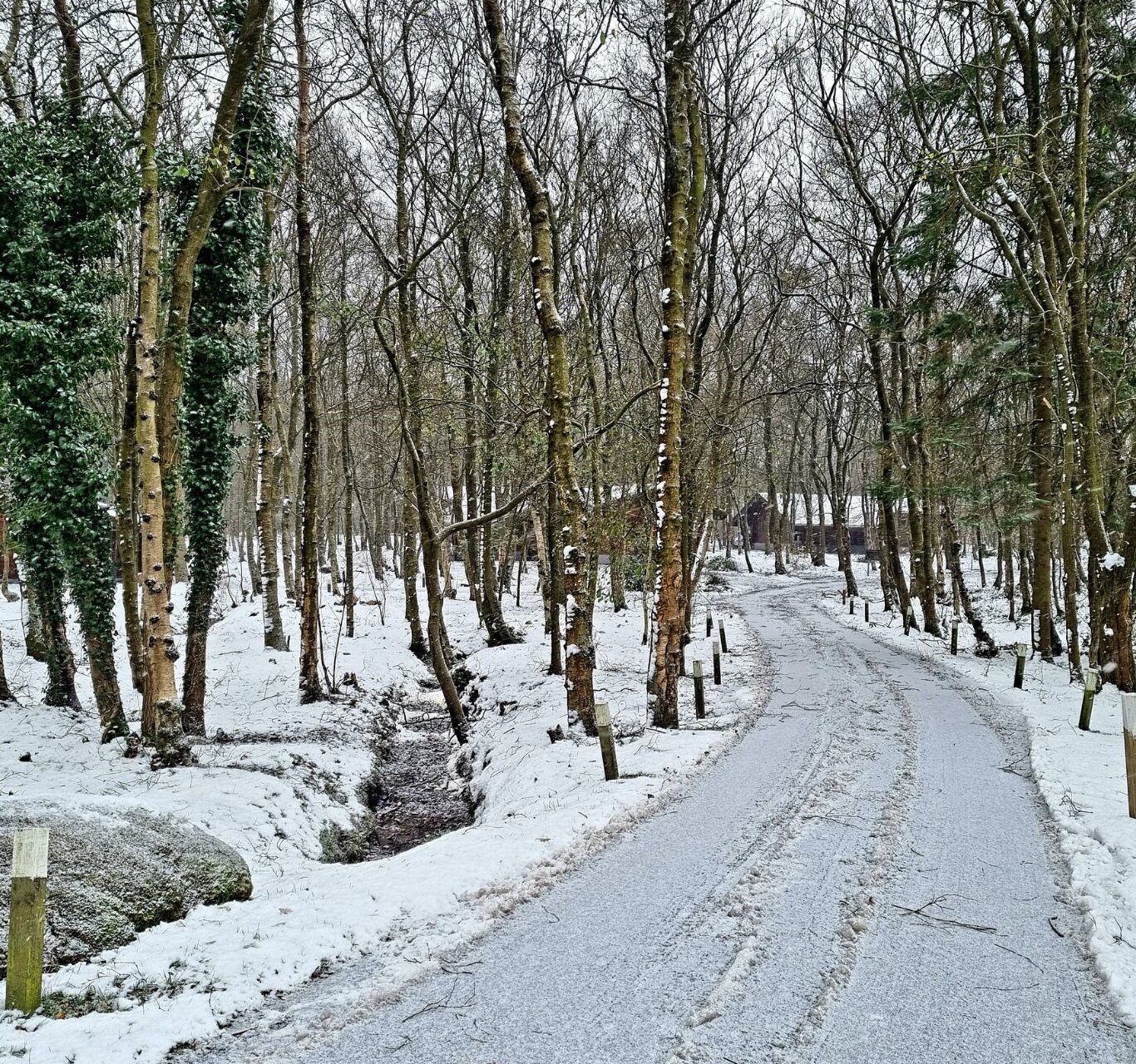 Untitled design &ndash; 1